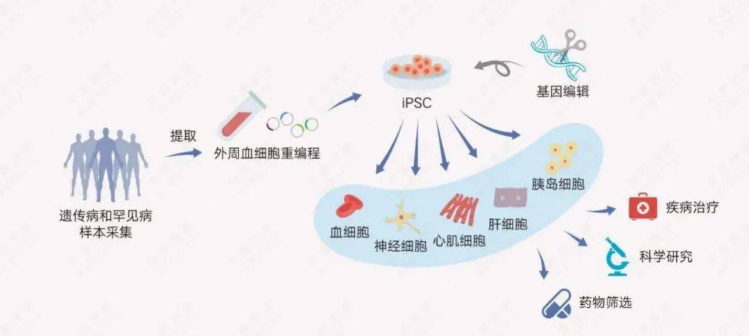 丨中盛溯源——专注于ipsc来源细胞药物研发和干细胞试剂国产化_技术